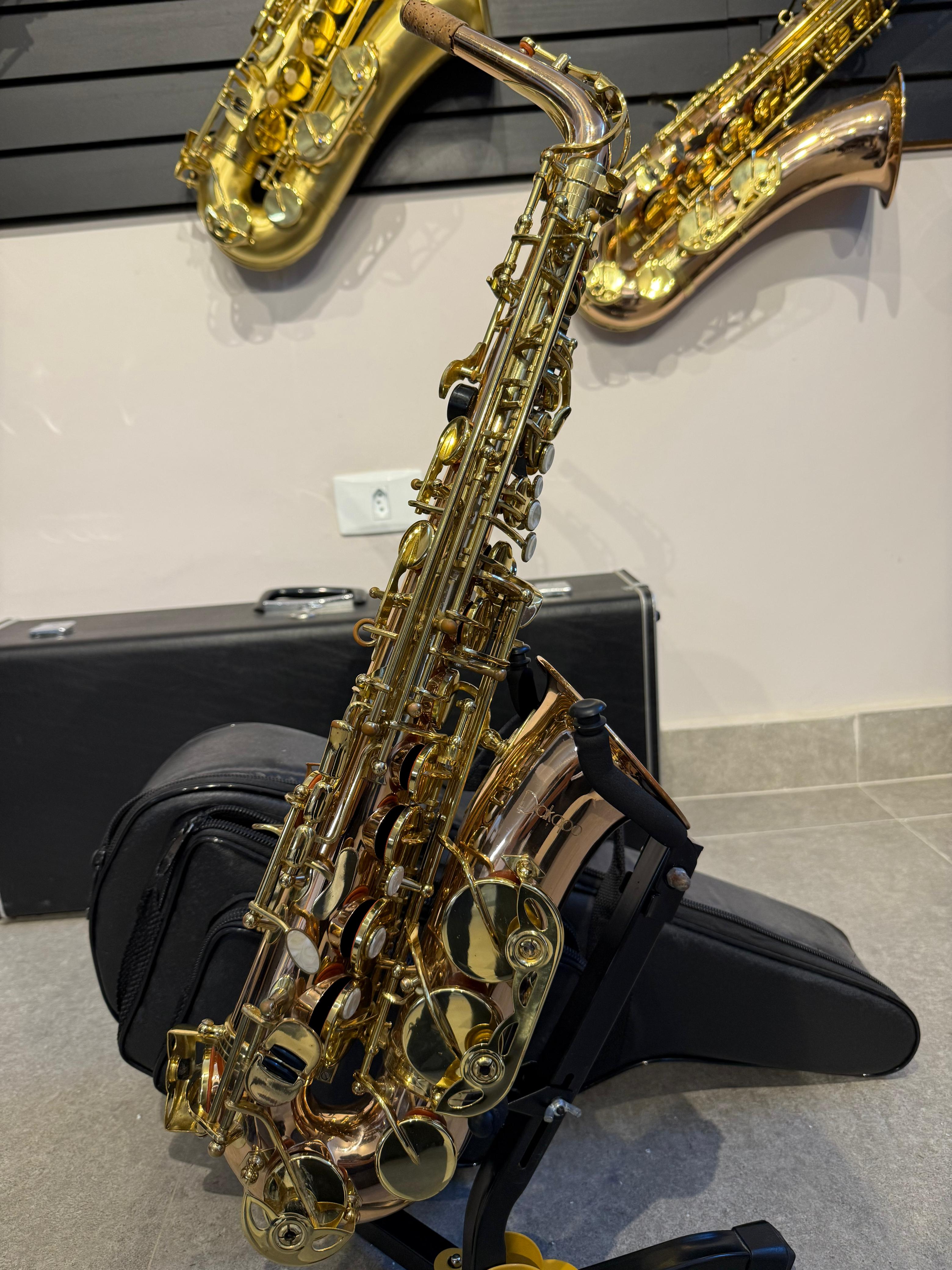 Saxofone Alto Dakapo - Usado