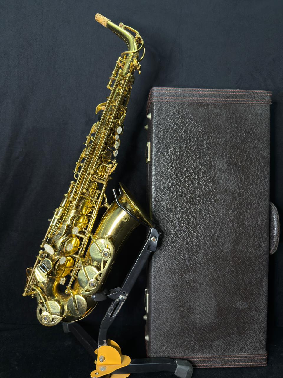 Saxofone Alto Pearl River - Usado 