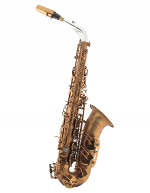 Saxofone Alto Vermont Paris
