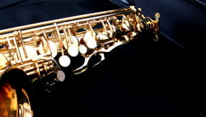 Saxofone Alto Wing
