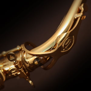 Saxofone alto Cannonball Big Bell Stone Series A4-L