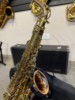 Saxofone Alto Dakapo - Usado