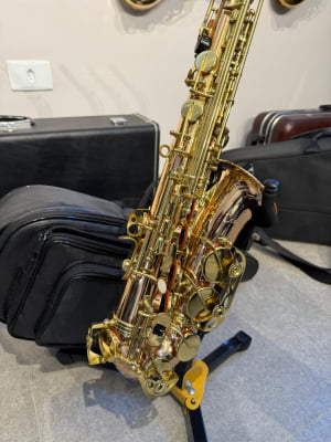 Saxofone Alto Dakapo - Usado