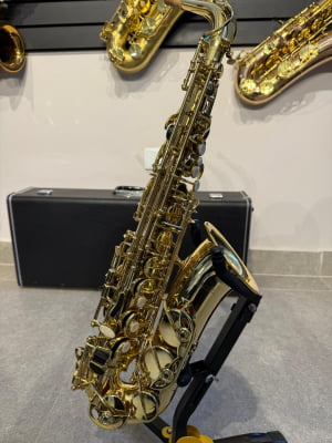 Saxofone Alto Eagle 501 - Usado
