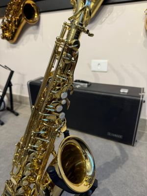 Saxofone Alto Eagle 501 - Usado