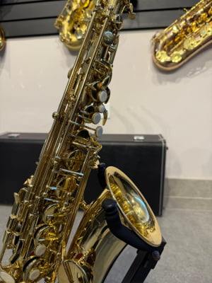 Saxofone Alto Eagle 501 - Usado