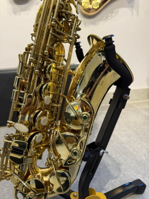 Saxofone Alto Eagle 501 - Usado