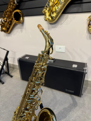 Saxofone Alto Eagle 501 - Usado