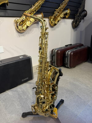 Saxofone Alto Eagle 501 - Usado