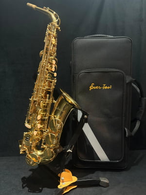 Saxofone Alto Ever-Ton - Novíssimo 