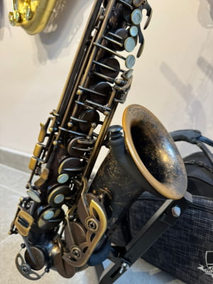 Saxofone Alto Magenthus - Usado