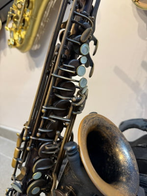 Saxofone Alto Magenthus - Usado