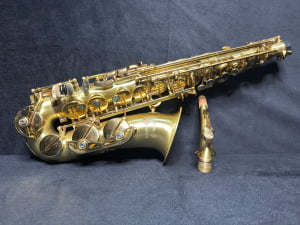Saxofone Alto Meridian By Danilo Macedo 