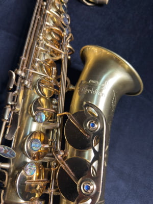 Saxofone Alto Meridian By Danilo Macedo 