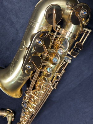 Saxofone Alto Meridian By Danilo Macedo 