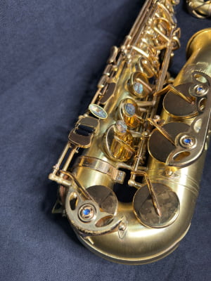 Saxofone Alto Meridian By Danilo Macedo 