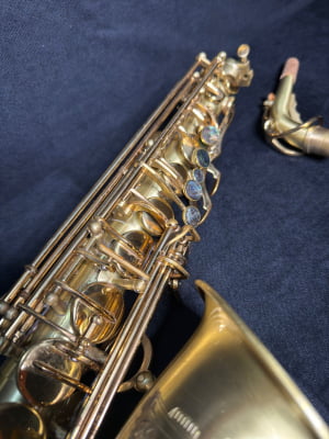 Saxofone Alto Meridian By Danilo Macedo 