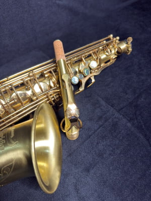Saxofone Alto Meridian By Danilo Macedo 