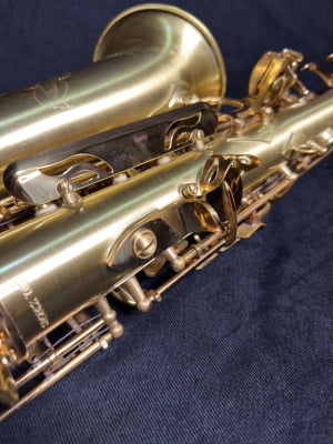 Saxofone Alto Meridian By Danilo Macedo 