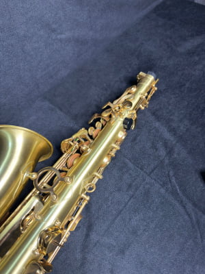 Saxofone Alto Meridian By Danilo Macedo 