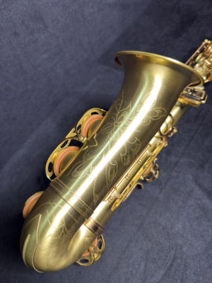 Saxofone Alto Meridian By Danilo Macedo 