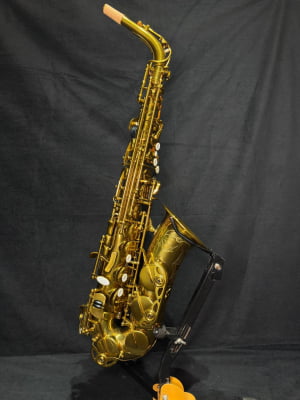 Saxofone Alto Soul - Showroom