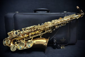 Saxofone Alto Yanagisawa W02 - Seminovo