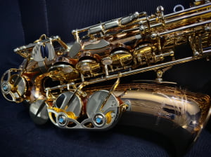 Saxofone Alto Yanagisawa W02 - Seminovo
