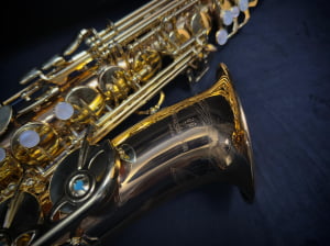 Saxofone Alto Yanagisawa W02 - Seminovo