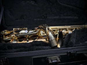 Saxofone Alto Yanagisawa W02 - Seminovo