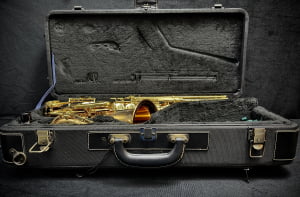 Saxofone Alto Yanagisawa W02 - Seminovo