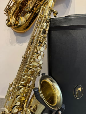 Saxofone Alto Eagle SA501 - Seminovo