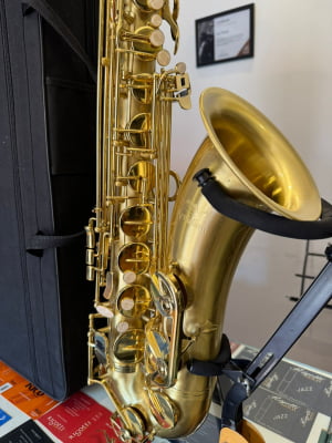 Saxofone Tenor Meridian - Seminovo