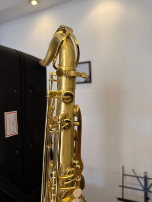 Saxofone Tenor Meridian - Seminovo